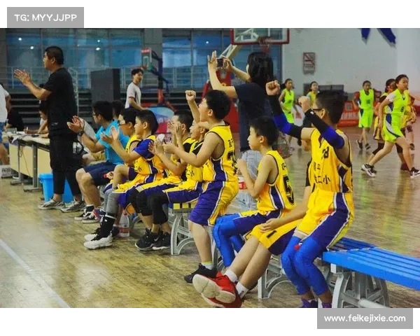 2019体育赛事—2019年体育