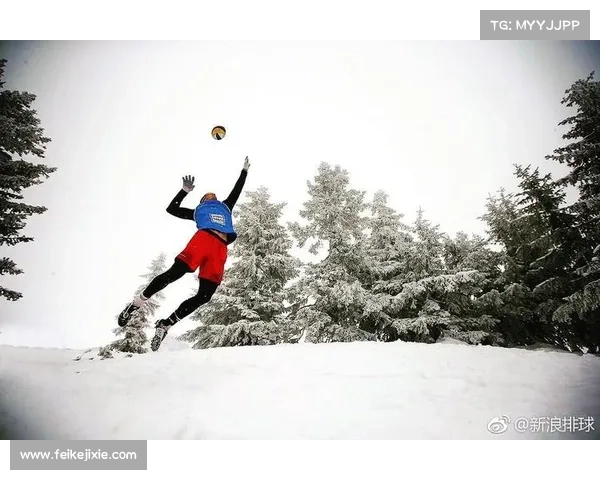 2018年排球世界锦标赛各国队伍非凡技艺创造难忘历史时刻
