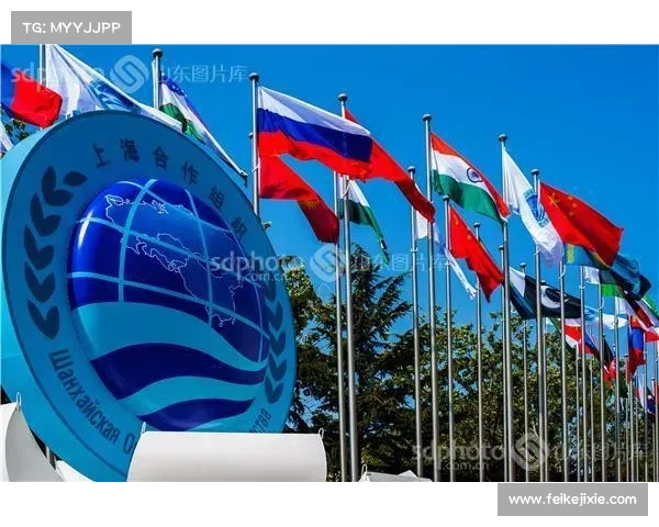 2018越野赛事青岛;青岛336公里越野赛